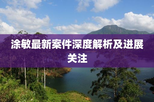 涂敏最新案件深度解析及進展關注