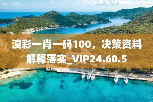溴彩一肖一碼100，決策資料解釋落實_VIP24.60.5