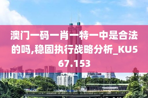 澳門一碼一肖一特一中是合法的嗎,穩固執行戰略分析_KU567.153
