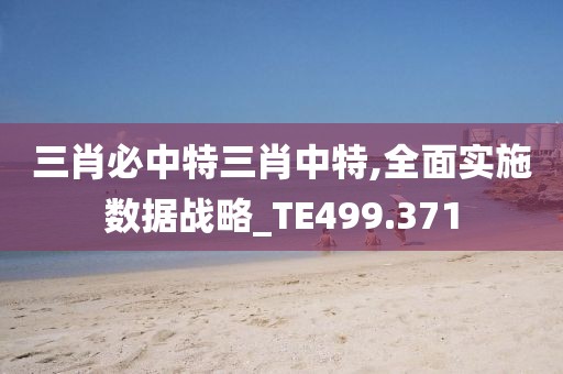 三肖必中特三肖中特,全面實施數據戰略_TE499.371