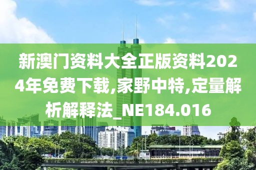 新澳門資料大全正版資料2024年免費下載,家野中特,定量解析解釋法_NE184.016