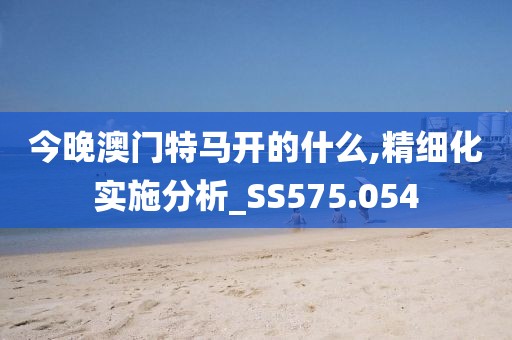 今晚澳門特馬開的什么,精細化實施分析_SS575.054