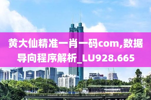 黃大仙精準一肖一碼com,數據導向程序解析_LU928.665