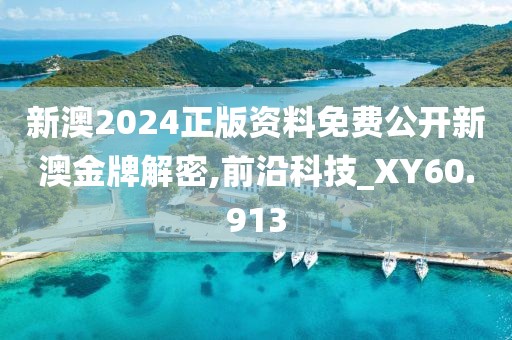 新澳2024正版資料免費公開新澳金牌解密,前沿科技_XY60.913
