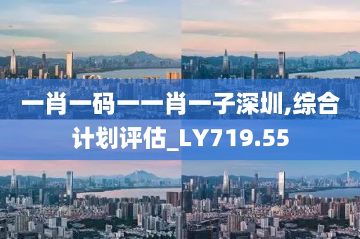 一肖一碼一一肖一子深圳,綜合計劃評估_LY719.55