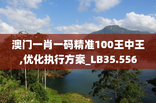 澳門一肖一碼精準100王中王,優化執行方案_LB35.556