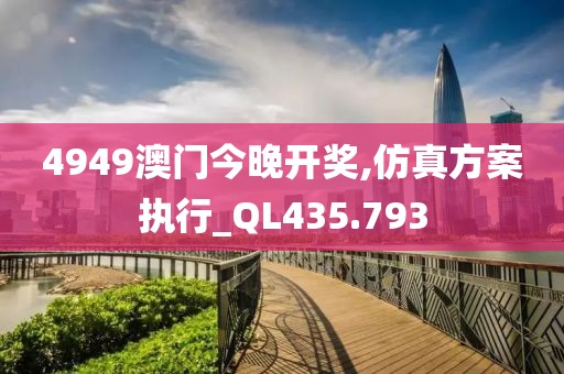 4949澳門今晚開獎,仿真方案執行_QL435.793