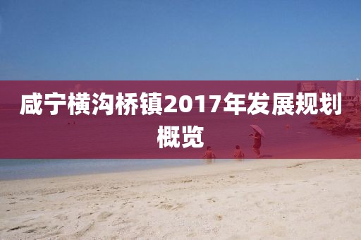 咸寧橫溝橋鎮2017年發展規劃概覽