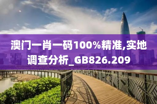 澳門一肖一碼100%精準,實地調查分析_GB826.209