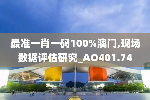 最準一肖一碼100%澳門,現場數據評估研究_AO401.74