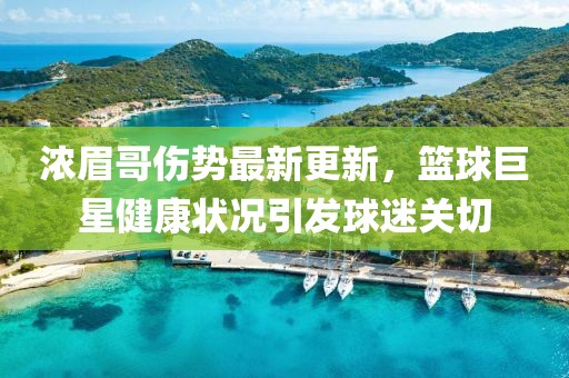 濃眉哥傷勢最新更新，籃球巨星健康狀況引發球迷關切