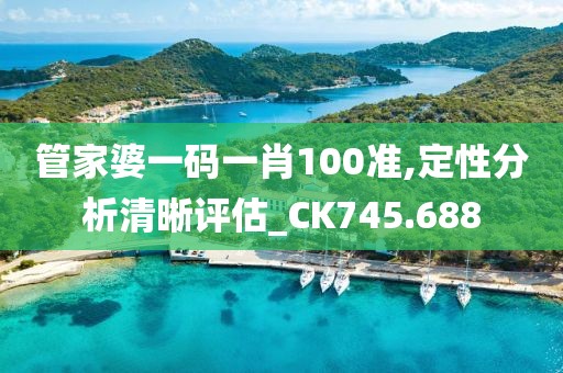 管家婆一碼一肖100準,定性分析清晰評估_CK745.688
