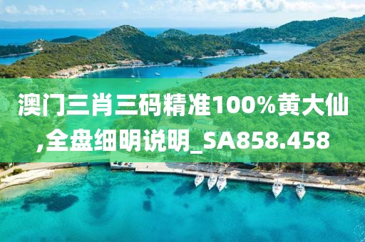 澳門三肖三碼精準100%黃大仙,全盤細明說明_SA858.458