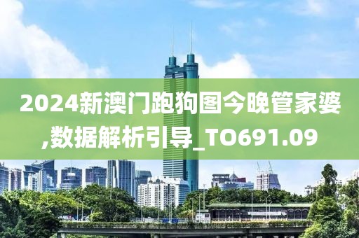 2024新澳門跑狗圖今晚管家婆,數據解析引導_TO691.09