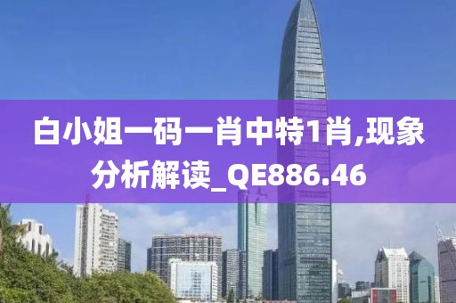白小姐一碼一肖中特1肖,現象分析解讀_QE886.46