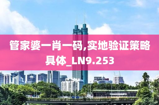 管家婆一肖一碼,實地驗證策略具體_LN9.253