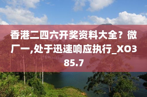 香港二四六開獎資料大全？微廠一,處于迅速響應執行_XO385.7