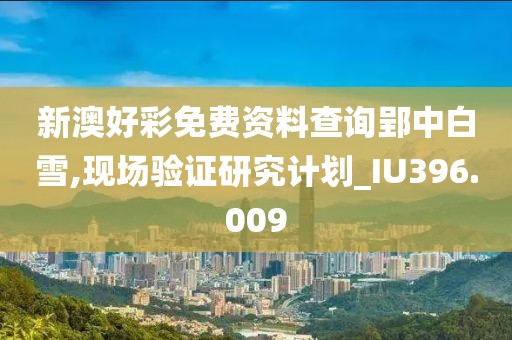 新澳好彩免費資料查詢郢中白雪,現場驗證研究計劃_IU396.009