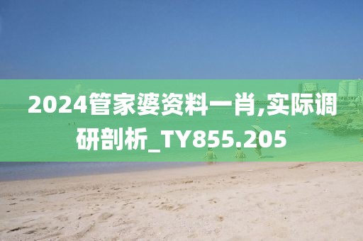 2024管家婆資料一肖,實際調研剖析_TY855.205