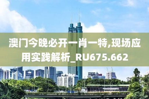 澳門今晚必開一肖一特,現場應用實踐解析_RU675.662