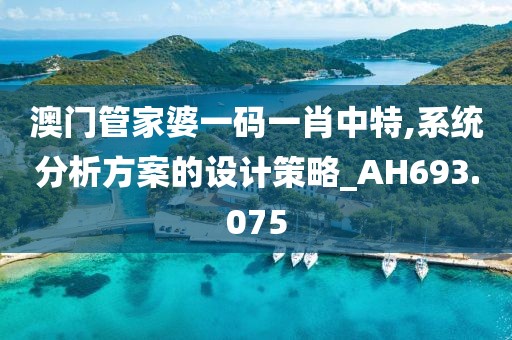澳門管家婆一碼一肖中特,系統分析方案的設計策略_AH693.075