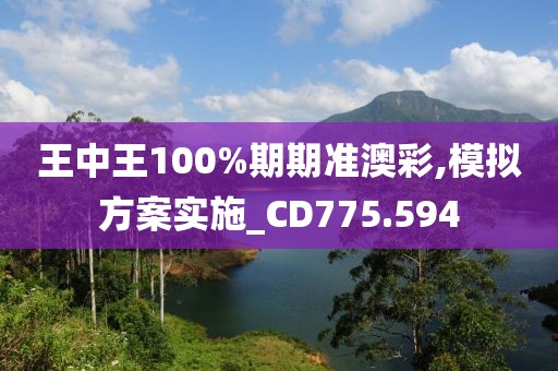 王中王100%期期準澳彩,模擬方案實施_CD775.594