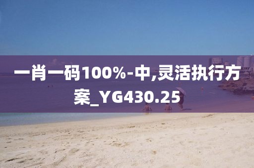一肖一碼100%-中,靈活執行方案_YG430.25