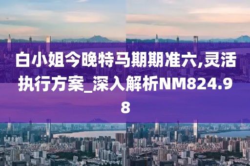 白小姐今晚特馬期期準六,靈活執行方案_深入解析NM824.98