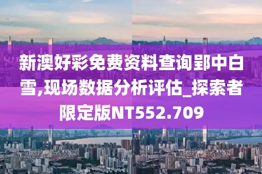 新澳好彩免費資料查詢郢中白雪,現場數據分析評估_探索者限定版NT552.709