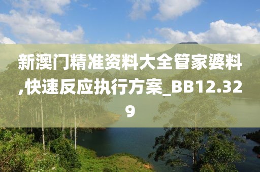 新澳門精準資料大全管家婆料,快速反應執行方案_BB12.329