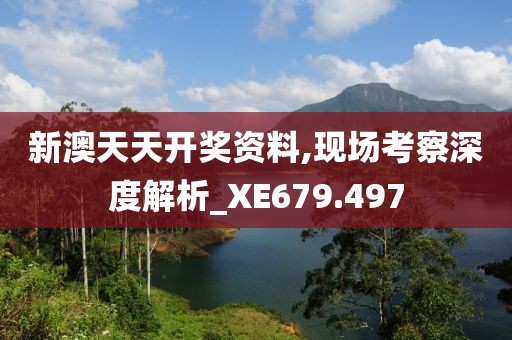 新澳天天開獎資料,現場考察深度解析_XE679.497
