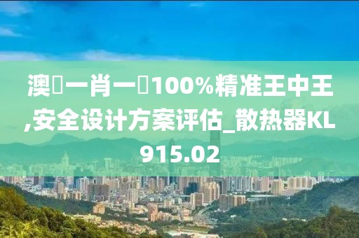 澳門一肖一碼100%精準王中王,安全設計方案評估_散熱器KL915.02