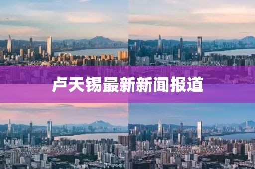 盧天錫最新新聞報道