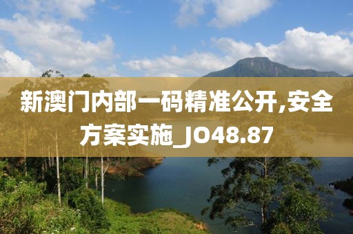 新澳門內部一碼精準公開,安全方案實施_JO48.87