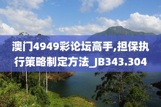 澳門4949彩論壇高手,擔保執行策略制定方法_JB343.304