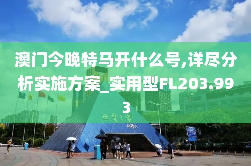 澳門今晚特馬開什么號,詳盡分析實施方案_實用型FL203.993
