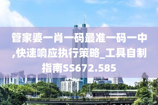 管家婆一肖一碼最準一碼一中,快速響應執行策略_工具自制指南SS672.585
