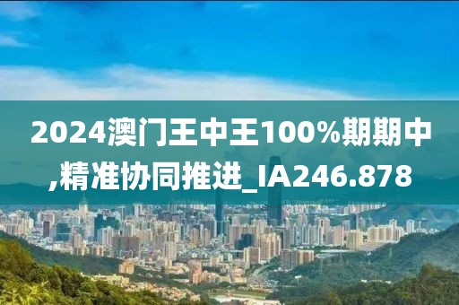 2024澳門王中王100%期期中,精準協同推進_IA246.878