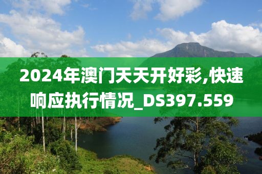 2024年澳門天天開好彩,快速響應執行情況_DS397.559