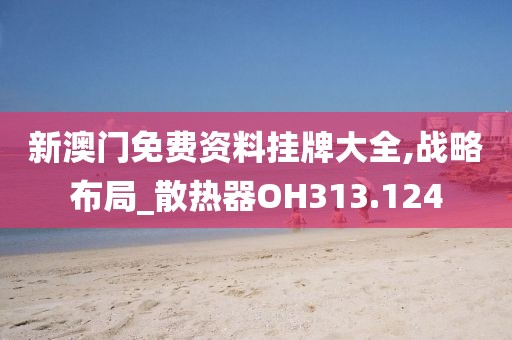 新澳門免費資料掛牌大全,戰略布局_散熱器OH313.124