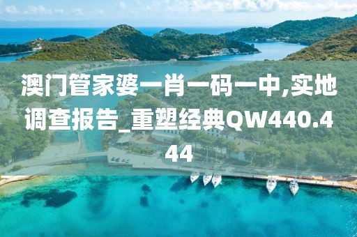 澳門管家婆一肖一碼一中,實地調查報告_重塑經典QW440.444