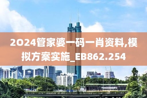 2O24管家婆一碼一肖資料,模擬方案實施_EB862.254