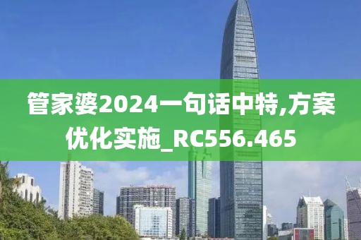管家婆2024一句話中特,方案優化實施_RC556.465