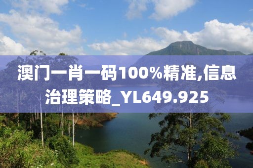澳門一肖一碼100%精準,信息治理策略_YL649.925