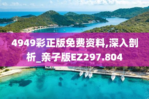4949彩正版免費資料,深入剖析_親子版EZ297.804