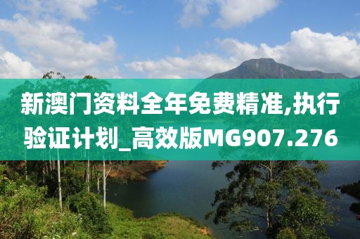 新澳門資料全年免費精準,執行驗證計劃_高效版MG907.276