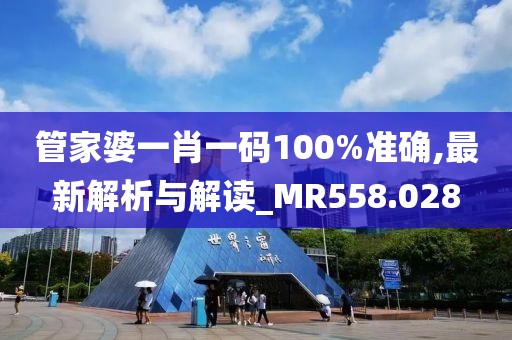 管家婆一肖一碼100%準確,最新解析與解讀_MR558.028