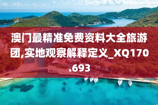 澳門最精準免費資料大全旅游團,實地觀察解釋定義_XQ170.693