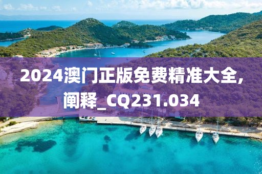 2024澳門正版免費精準大全,闡釋_CQ231.034