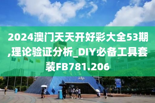 2024澳門天天開好彩大全53期,理論驗證分析_DIY必備工具套裝FB781.206